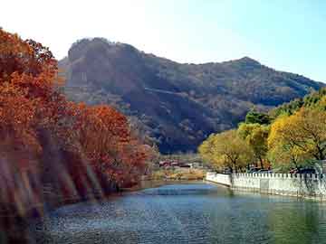 新澳天天开奖资料大全旅游团，巴里坤哈萨克自治seo教程